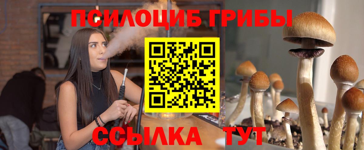 Псилоцибиновые грибы ЛСД  Галлюциногенные грибы Psilocybine cubensis  Камышин  закладка  Вход с VPN 