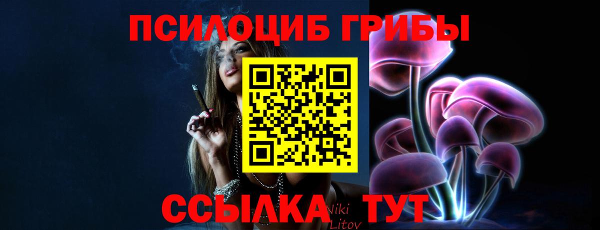 Галлюциногенные грибы мухоморы Камышин